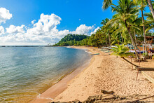 Concha Beach In The Urban Area Of Itacare On The Coast Of Bahia Is One Of The Main Leisure Spots For Tourists