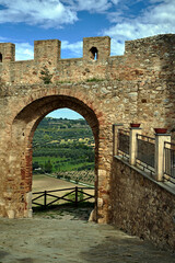 Canvas Print - stone defensive wall with a gate and rural landscape with olive crops in Tuscany, Italy