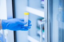 Medical Scientist Wearing Blue Gloves Holding Blood Test Tube In Medical Laboratory.Chemistry Researcher Holds A Sample Tube Does A Chemical Experiment And Examines A Patient's Blood Sample.