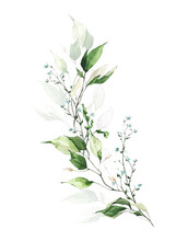 Greenery Arrangement Watercolor Painted. Bouquet With Branches, Green Leaves, Forget Me Not Little Blue Flowers. 