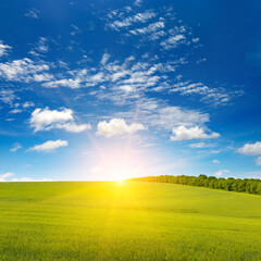 Canvas Print - Dawn over green wheat field and blue sky.