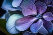 Close-up of a violet hydrangea blossom in bloom. Generative AI