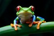red eyed tree frog on a green leaf generated AI