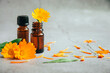 Front view of glass bottles of calendula essential oil with fresh marigold orange yellow flowers and petals over gray background with copy space aromatherapy concept.