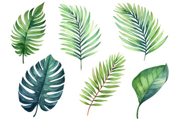 Tropical palm leaves set on white background. Watercolor hand-painted, summer