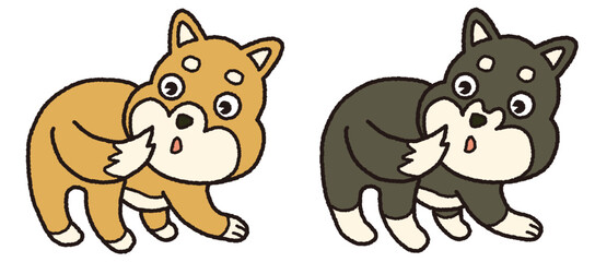  しっぽで遊ぶ柴犬