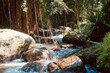 Fresh tropical creek amongst rocks and banyan trees