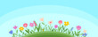 Summer blue background with green grass and wildflowers. Place for text. flat banner