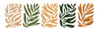 © Анастасия Гевко - Matisse inspired contemporary plant shapes in neutral colors. Brush drawn branches with long leaves and curved stems. Modern Matisse style. Hand drawn abstract vector palm leaf in rectangle shapes.
