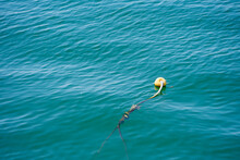 Yellow Buoy On The Water