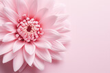 Fototapeta Kwiaty - pink flower close-up, natural background
