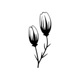 Fototapeta Tulipany - Tulip flower black line vector illustration