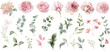 Leinwandbild Motiv Watercolor floral illustration. Pink flowers and eucalyptus greenery bouquet.  Dusty roses, soft light blush peony - border, wreath, frame. Perfect wedding stationary, greetings,  fashion, background