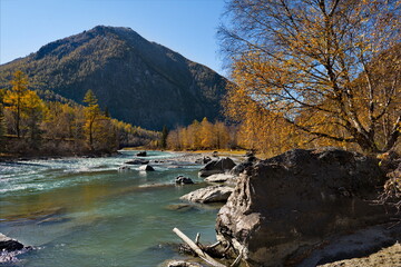 Wall Mural - Russia. The South of Western Siberia, Altai Mountains. Only in the middle of autumn, when the mountain glaciers stop melting, the water in the Chuya River becomes transparent and rich turquoise color.