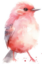 Pink Bird Transparent Background