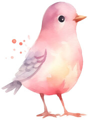 Poster - Pink bird transparent background