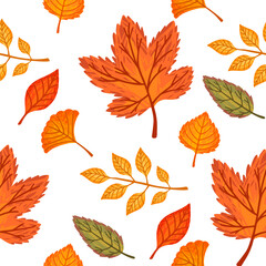 Wall Mural - Seamless pattern of colorful autumn leaves vector illustration on white background