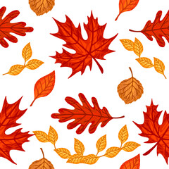 Wall Mural - Seamless pattern of colorful autumn leaves vector illustration on white background