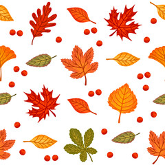 Wall Mural - Seamless pattern of colorful autumn leaves vector illustration on white background