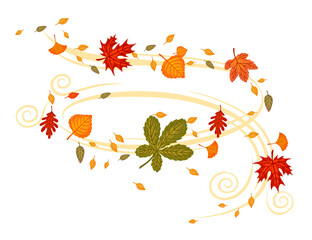 Wall Mural - Autumn leaves flying on the wind vector illustration on white background