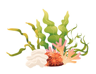 Wall Mural - plants and aquatic marine seaweed vector illustration isolated on white background