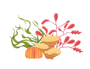 Wall Mural - Plants and aquatic marine seaweed vector illustration isolated on white background