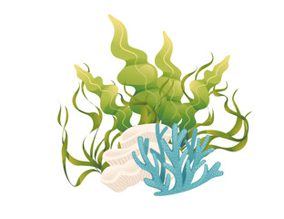 Wall Mural - plants and aquatic marine seaweed vector illustration isolated on white background