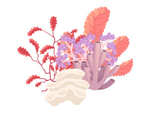 Wall Mural - plants and aquatic marine seaweed vector illustration isolated on white background