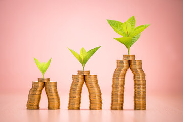 Wall Mural - Stack gold coin and plant growing with savings money is destinations the interest on the pink background in the office, Business investment and saving money concept.