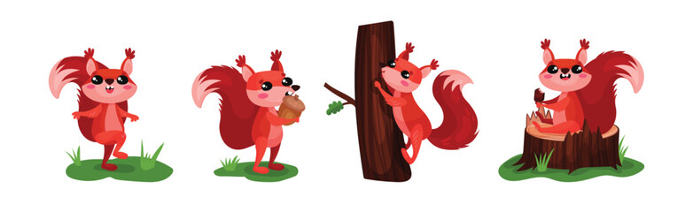 Wall Mural - Cute Red Squirrel Character with Bushy Tail Engaged in Different Activity Vector Set