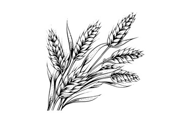 Canvas Print - Wheat bread ears cereal crop sketch engraving style vector illustration. 