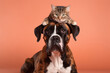 Different but not divided a cat and dog display their unique bond of friendship and love in a playful pose. AI Generative