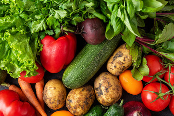 Assortment of fresh organic vegetables and herbs from the garden. Healthy diet vegetarian food