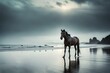 silhouette of a horse on the beach