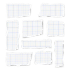 Wall Mural - Set of checkered paper different shapes and orientation scraps isolated on white background. Paper collage. 