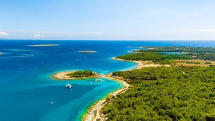 Wall Mural - view from the air on the sea and coast. sea relaxation and travel. the forest near the sea. azure wa