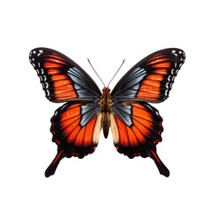 Wall Mural - butterfly isolated on a transparent background, generative ai