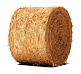 Wall Mural - cylinder hay isolated on transparent background - generative ai