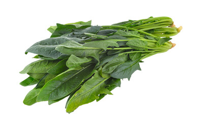 Wall Mural - Spinach leaves isolated on transparent png