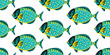 Marine seamless pattern with tropical fish for summer print