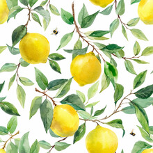 Beautiful Seamless Pattern With Hand Drawn Watercolor Yellow Lemons On Branches With Leaves And Black Olives. Stock Illustration.