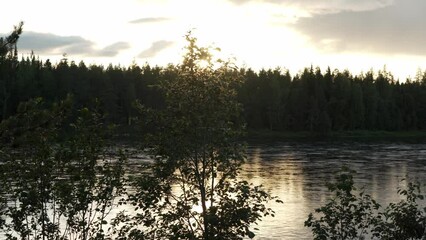 Poster - Sunset at a fast flowing river in Finland surrounded by trees