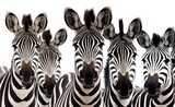 Fototapeta Konie - Group of zebras on a white background. Generative AI.