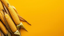 Minimalist Yellow Corn Background With Copy Space.
