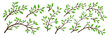 Tree Brunch Icon Set Isolated. Flat Cartoon Simple Twig with Green Leaves Collection. Design Decorative Elements. Spring, Summer Leaves, Brunches, Plants, Leaves, Herbs. Vector Illustration