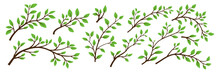 Tree Brunch Icon Set Isolated. Flat Cartoon Simple Twig With Green Leaves Collection. Design Decorative Elements. Spring, Summer Leaves, Brunches, Plants, Leaves, Herbs. Vector Illustration