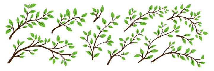tree brunch icon set isolated. flat cartoon simple twig with green leaves collection. design decorat