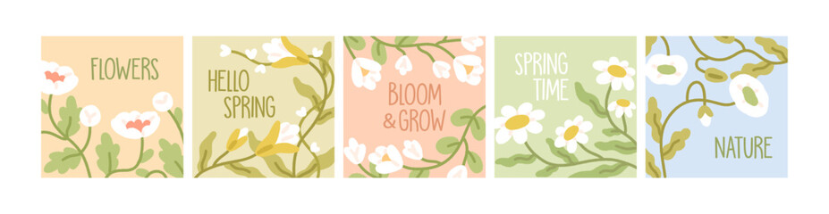 Leinwandbilder - Floral square cards set. Cute nature postcard templates with spring blooming flowers and leaves. Minimal botanical background designs with field plants, wildflowers. Colored flat vector illustrations