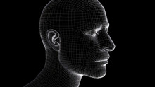 Head Of The Person From A 3d Grid. Human Head Wire Model.