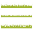 Green grass isolated on white background. Silhouette. Vector illustration in flat style.
